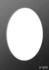 009
