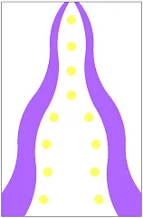 Вариант 37